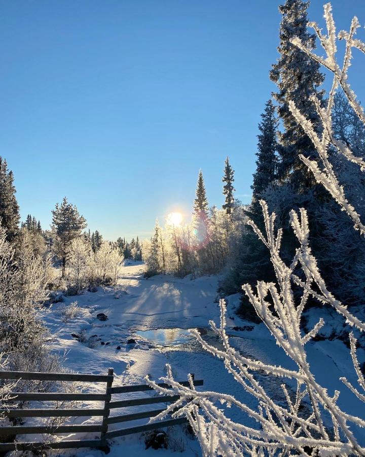 Hyggelig Leilighet I Sentrum Hemsedal Exteriér fotografie