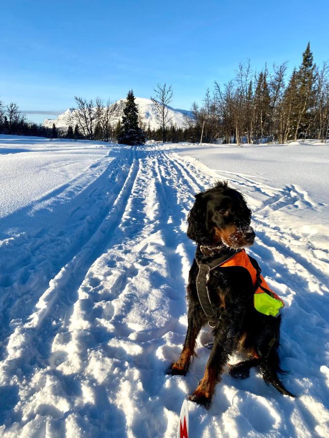 Hyggelig Leilighet I Sentrum Hemsedal Exteriér fotografie