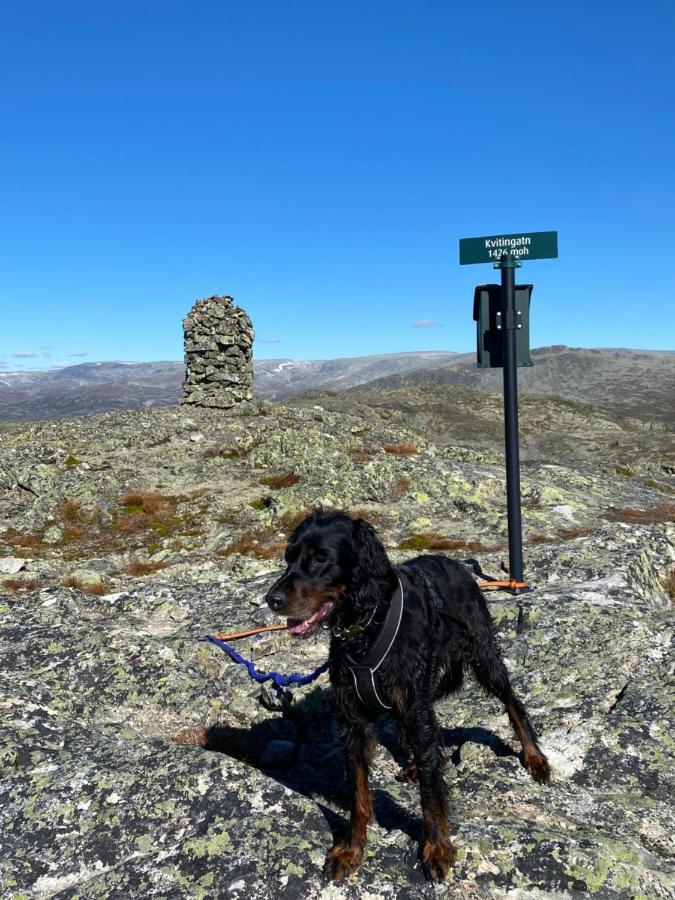 Hyggelig Leilighet I Sentrum Hemsedal Exteriér fotografie