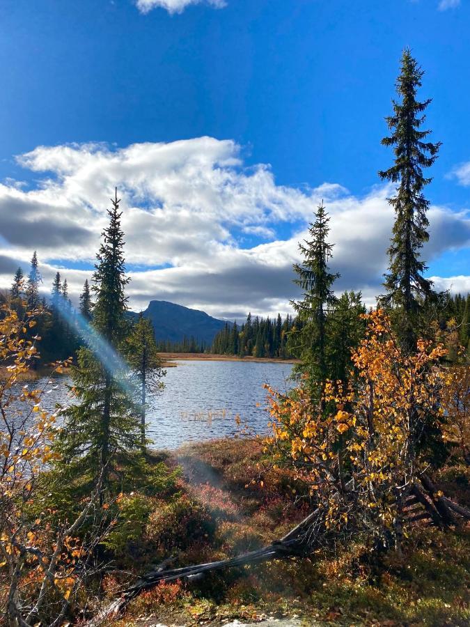 Hyggelig Leilighet I Sentrum Hemsedal Exteriér fotografie