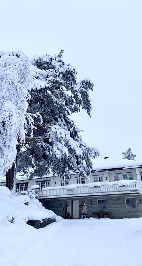 Hyggelig Leilighet I Sentrum Hemsedal Exteriér fotografie