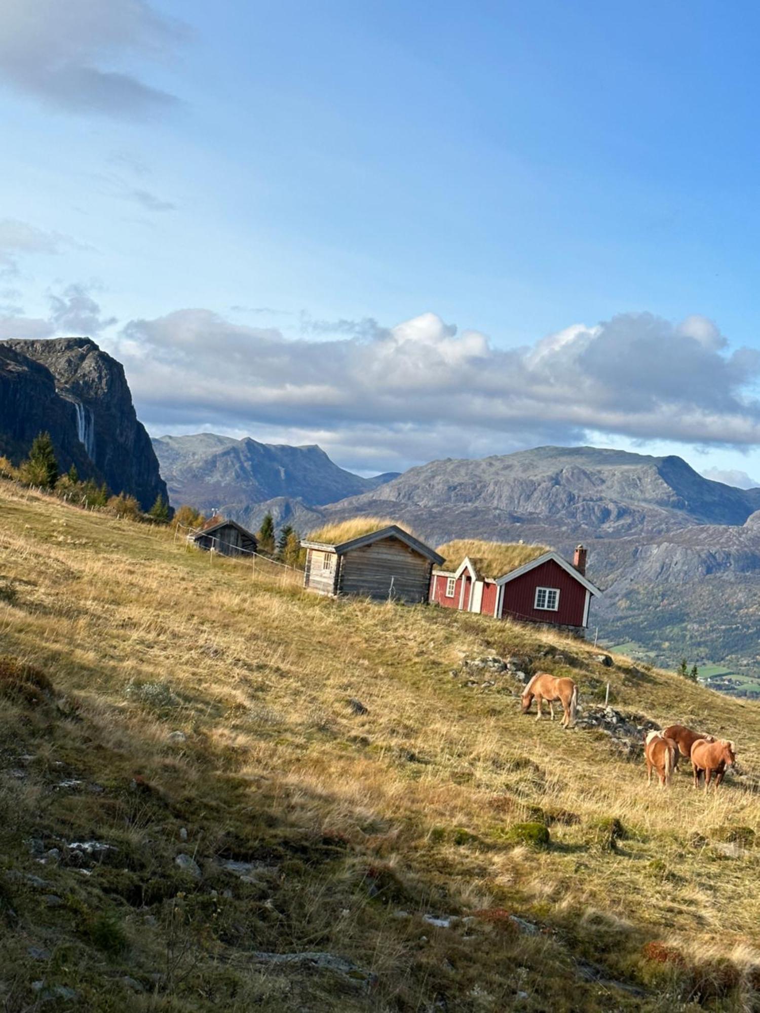 Hyggelig Leilighet I Sentrum Hemsedal Exteriér fotografie