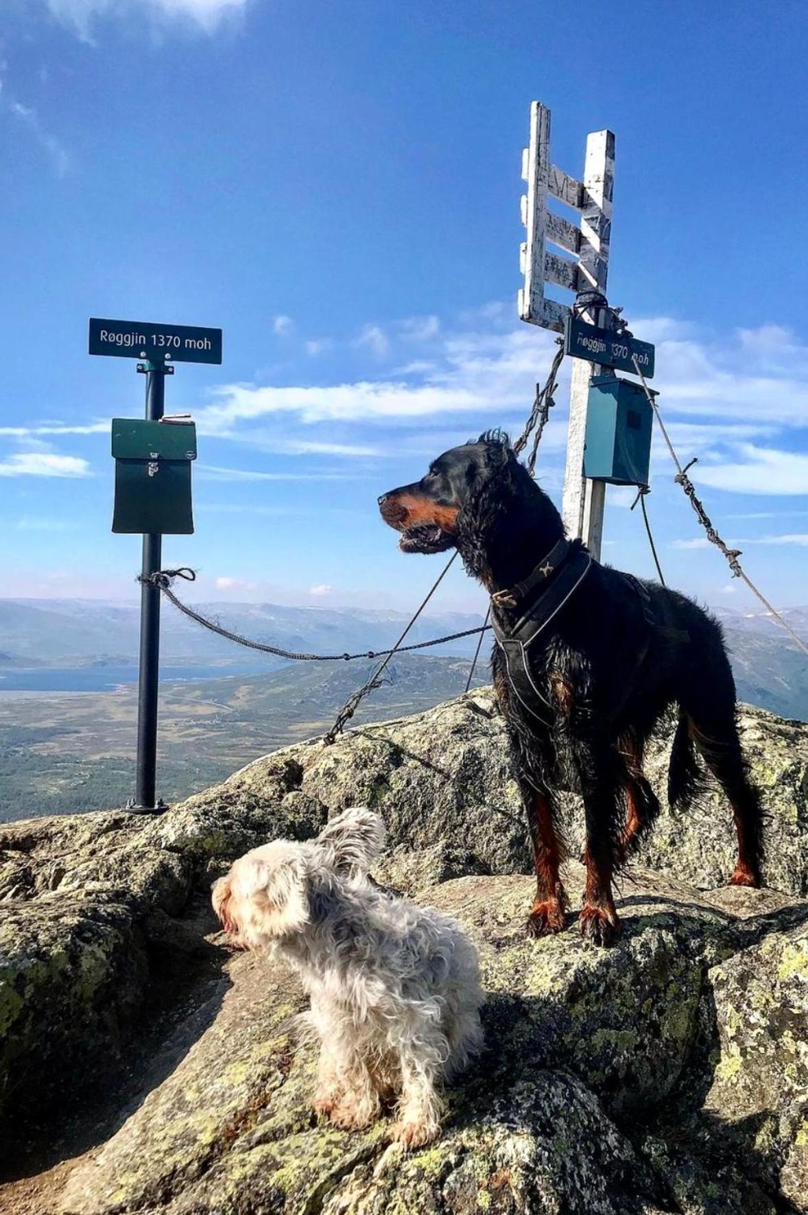 Hyggelig Leilighet I Sentrum Hemsedal Exteriér fotografie